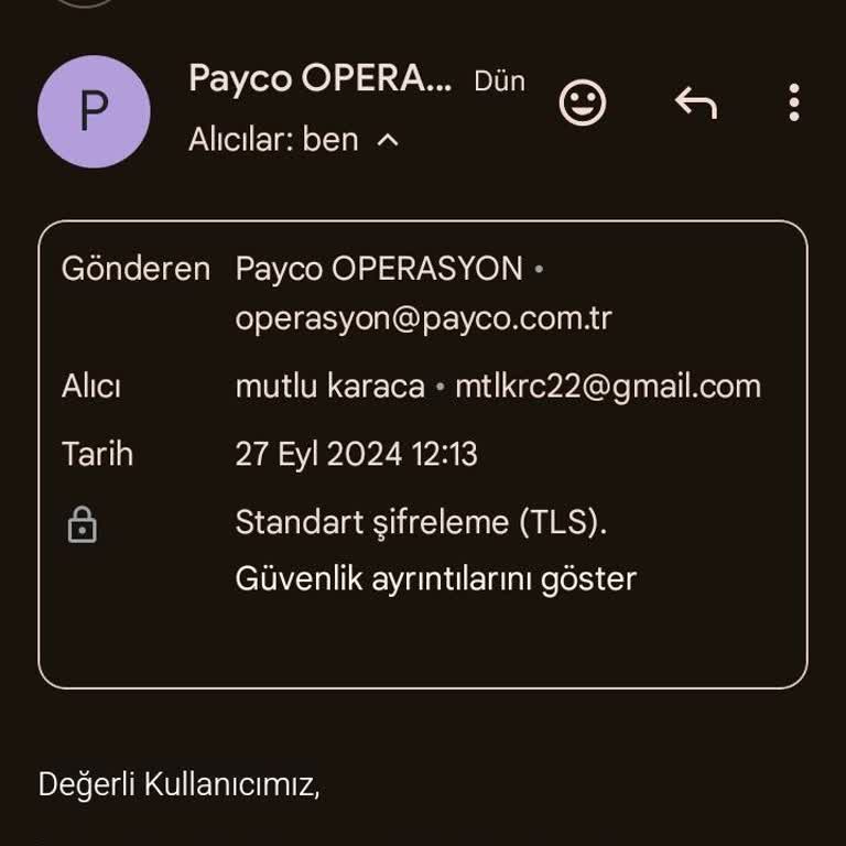 Nays Geri İade Sorunu: 15 Saat Geçmesine Rağmen Para Hesaba Geçmedi