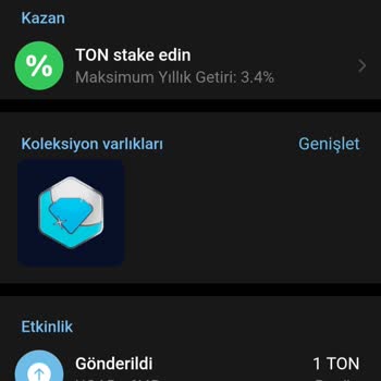 Telegram Ton Space İşlem Bedelini 2 Kere Çekti