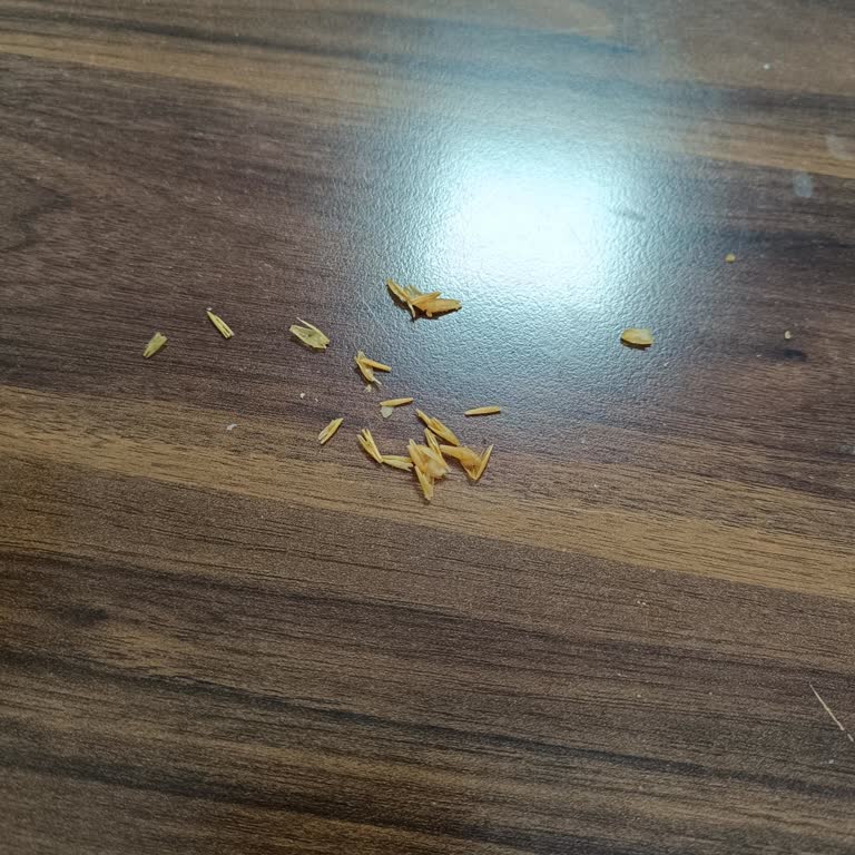 Eti Gıda Eti Yulaf Ezmesinde Kabuk Çıkıyor.