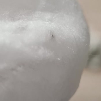 Sleepy Bebek Bezi İçerisinde Siyah Bir Şeyler