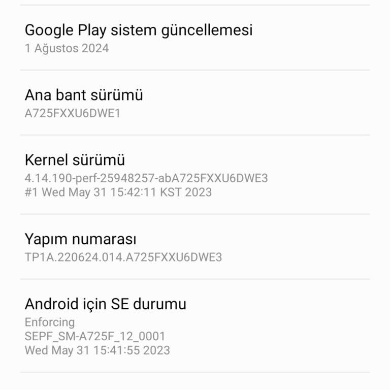 Samsung Samsun A72 Android 14 Yazılım Güncellemesi Alamadı