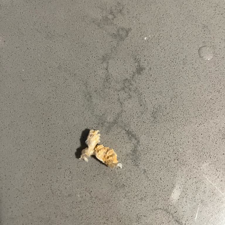 UNO Ekmek Ekmek İçi Plastik Madde
