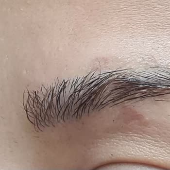 Palette Boya Yakıyor Yara Yapıyor