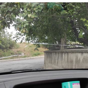 : Anadolu Anonim Türk Sigorta Şirketi Ve İş Ortağı Serglass