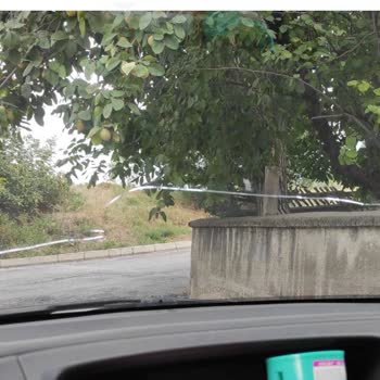 : Anadolu Anonim Türk Sigorta Şirketi Ve İş Ortağı Serglass