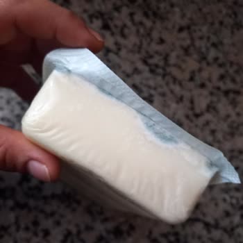 Torku Kaşar Kapalı Paket Olmasına Rağmen Küflendi