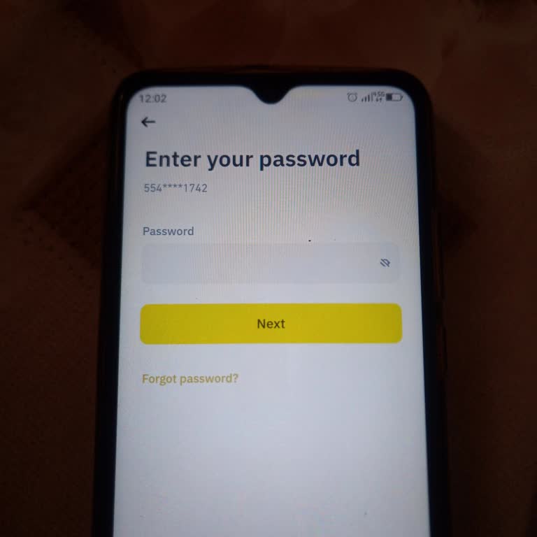 Binance Türkçe Dil Desteği