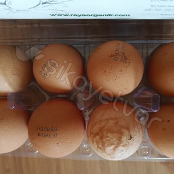 Migros Raya Organik Sözde Yumurta Bunlar