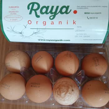 Migros Raya Organik Sözde Yumurta Bunlar
