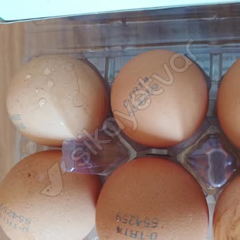 Raya Organik Sözde Yumurta Bunlar