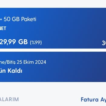 Yurt Dışında Haksız Fatura ve Kullanım İddiası