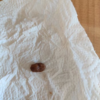 Helva İçinde Taş Çıktı. Tarsus Gıda Sanayi Ve Ticaret Ltd Şti.