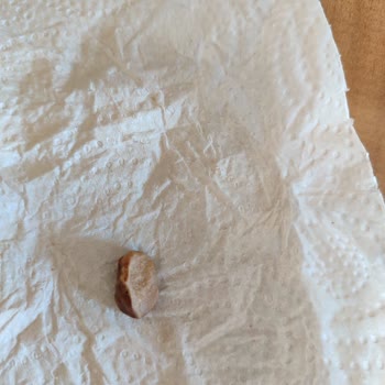 Helva İçinde Taş Çıktı. Tarsus Gıda Sanayi Ve Ticaret Ltd Şti.