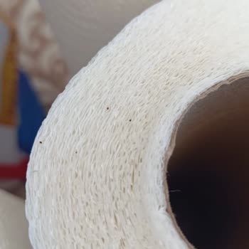 Teno Kağıt Havlu Peçeteden Evimizi Kurtçuklar Bastı.