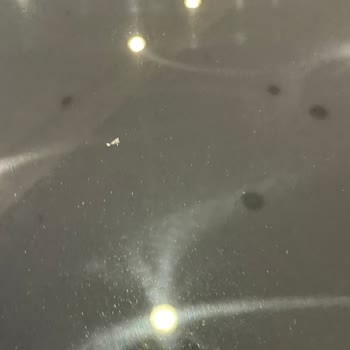 Kemal Tepretoğulları Hatalı Sıfır Araç Teslimi!