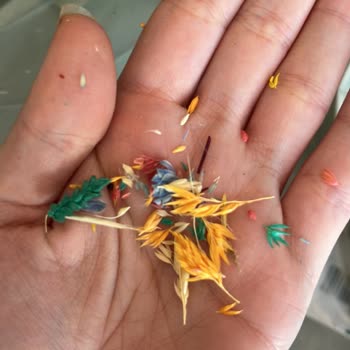 Davetiyen.com Siparişimdeki Kullanılan Çiçekler Kopuk Olarak Geldi