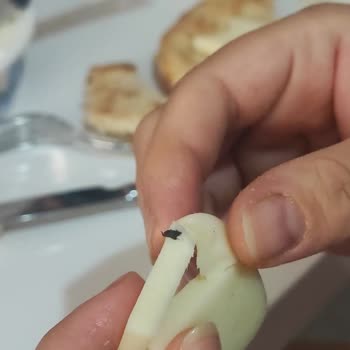 İçim Kaşar İçinden Böcek Çıktı