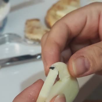 İçim Kaşar İçinden Böcek Çıktı