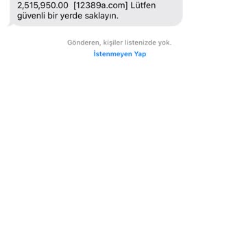 12386a.com Deniz Finansal Hesabın Eklendi Mesajı