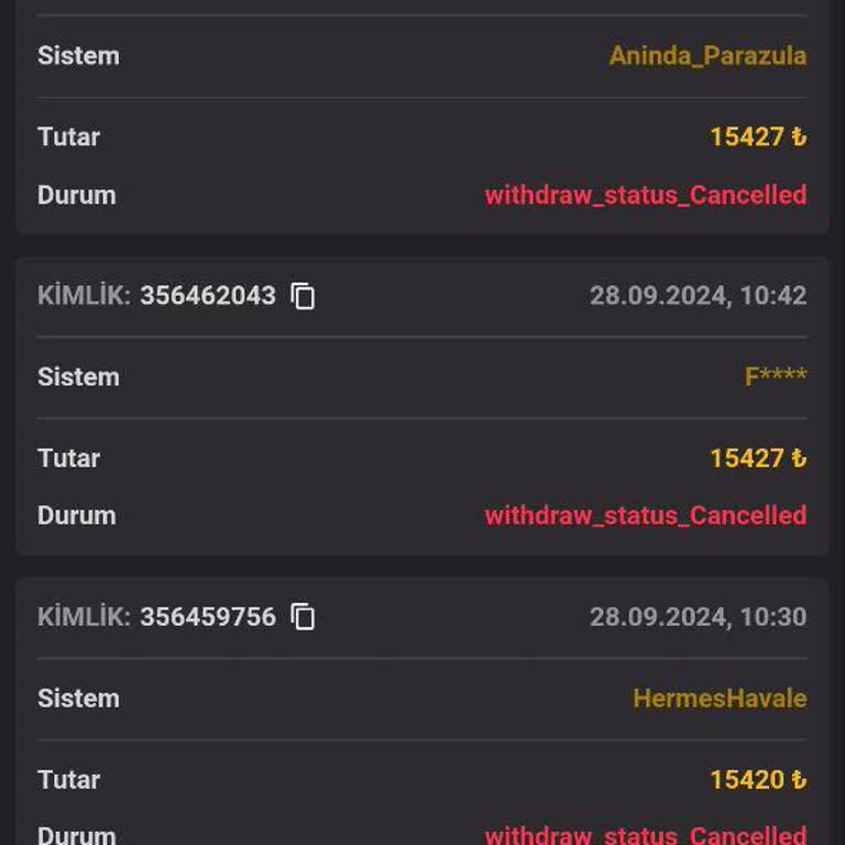 Demirbet'te Yaşadığım Ödeme Sorunları Ve Destek Eksikliği