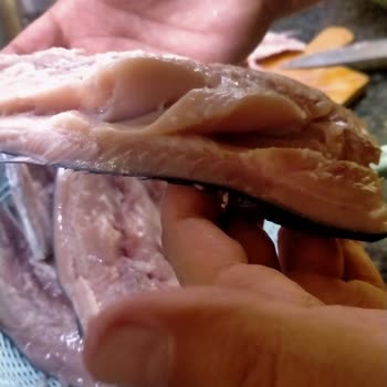 Carrefour SA'dan Aldığım Balıkların Tazeliğinden Şüpheliyim!