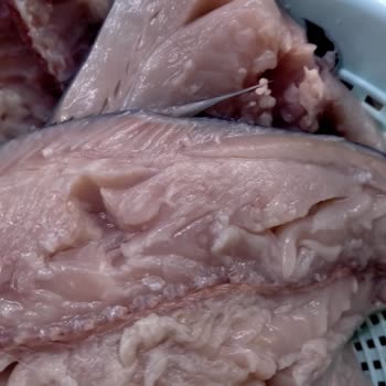 Carrefour SA'dan Aldığım Balıkların Tazeliğinden Şüpheliyim!