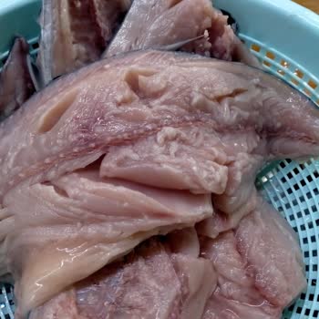 Carrefour SA'dan Aldığım Balıkların Tazeliğinden Şüpheliyim!