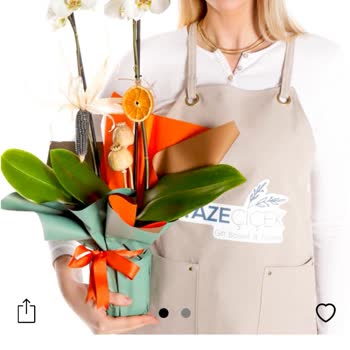 Taze Çiçek | tazecicek.com Tazecicek Uygulamasında Görsel Ve Sipariş Uyumsuzluğu
