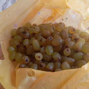 A101'den Gelen Üzümler Ve Müşteri Hizmetleri Sorunu