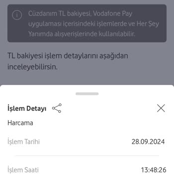 Vodafone Yanımda Zeplin Oyunu: Hatalar ve Kayıp Bakiye Sorunu