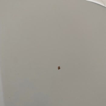 Vienza Home Ankara Mağduriyeti