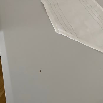 Vienza Home Ankara Mağduriyeti