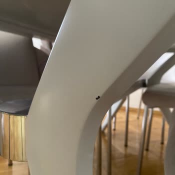 Vienza Home Ankara Mağduriyeti