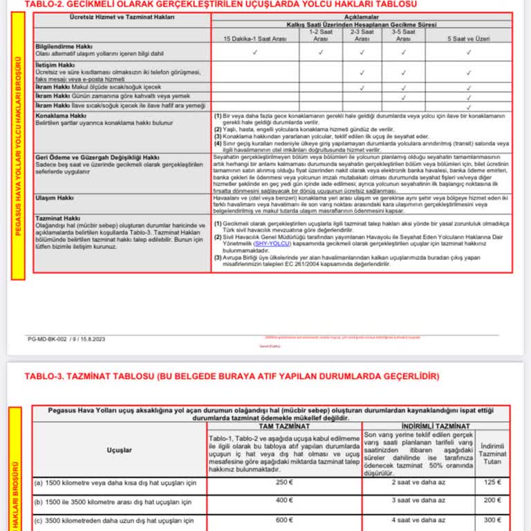 Pegasus Uçuş Ertelemesi Ve Tazminat Sorunu