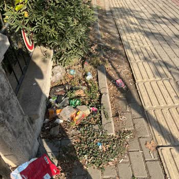 Bursa Gürsu Belediyesi Tamamen Pislik İçinde Yüzüyor.