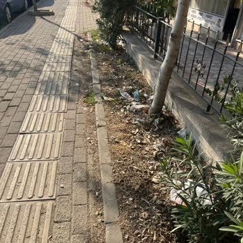 Bursa Gürsu Belediyesi Tamamen Pislik İçinde Yüzüyor.