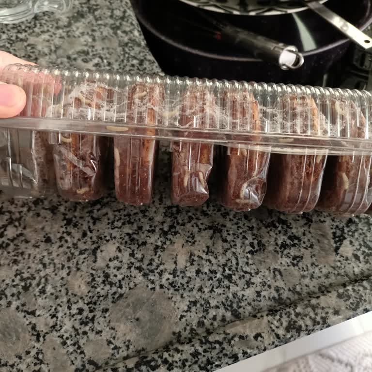 Ülker Halley Kurtçuk Yuvası Oldu