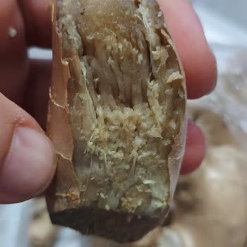 Migros Sanal Marketten Gönderilen Bozuk Ürün