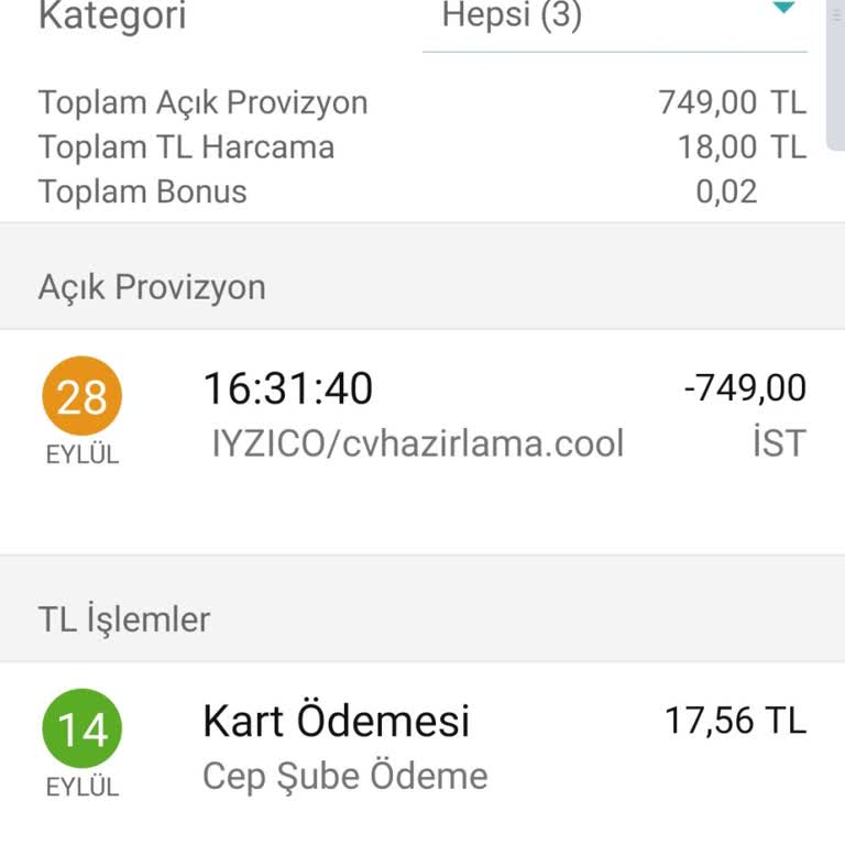 iyzico Kartımdan İzin Alınmadan İşlem Yapılması.