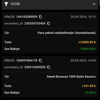 Palacebet Sitesinde Ödeme Sorunu Ve Belge Karmaşası