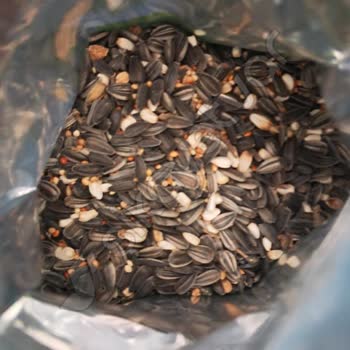 Bonnie Kus Yemi İçeriği