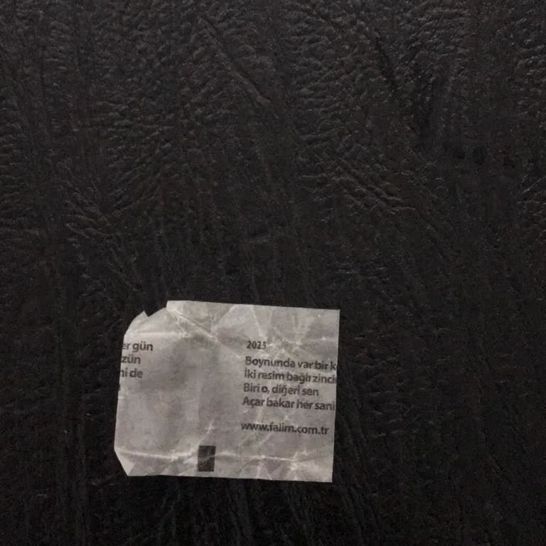 Falım Sakızdan Fal Çıkmadı