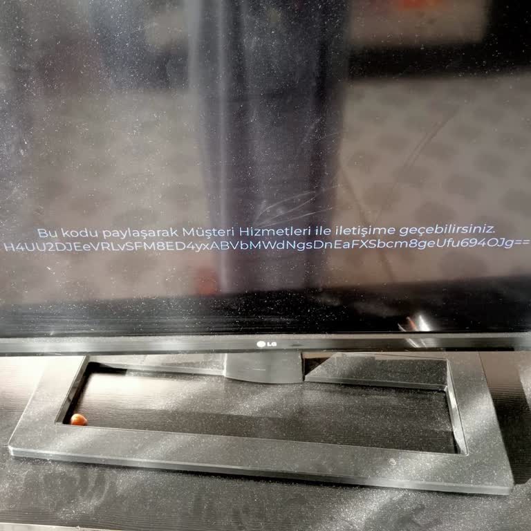 Veganet Wi-Fi İle Toda Bağlantı Sorunu