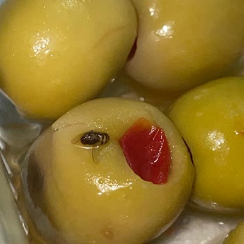 Fikret Sağlam Peynircilik Peynircilik Şubesinde Zeytin Sorunu