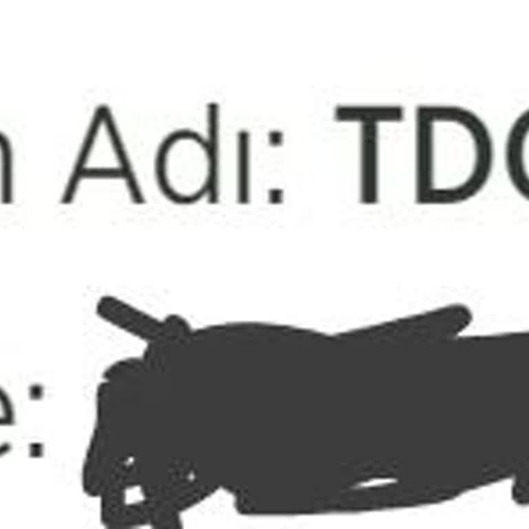 Ziraat Bankası Hesabıma Para Yatırılmış Fakat Kullanamıyorum!