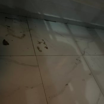 LC Waikiki Kargom Teslim Edilmedi