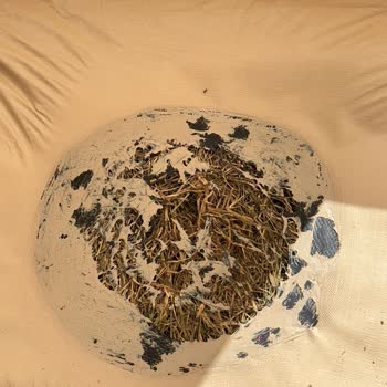 Nurgaz Soba Çadırımız Yandı