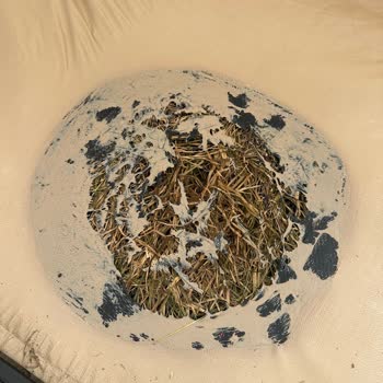 Nurgaz Soba Çadırımız Yandı