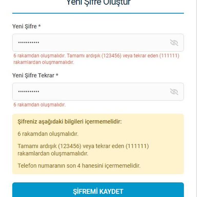 BTCTURK Şifre Sıfırlama Problemi