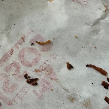 Yemeksepeti Döner Siparişinde Kurt Şoku!